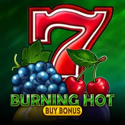 Burning Hot Buy Bonus game cover